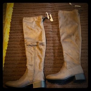 Women Boots! NWOT! Gorgeous Steve Madden Boots.